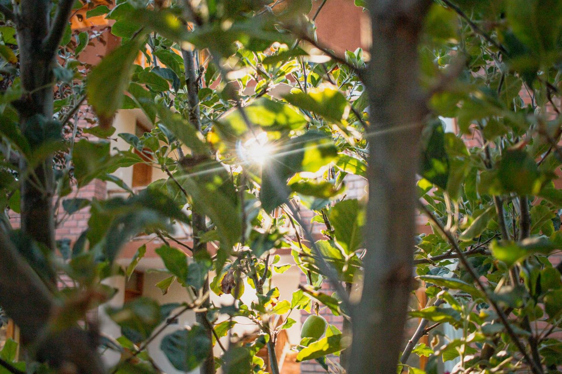 Allin Illary Eco Hospedaje Urubamba Εξωτερικό φωτογραφία