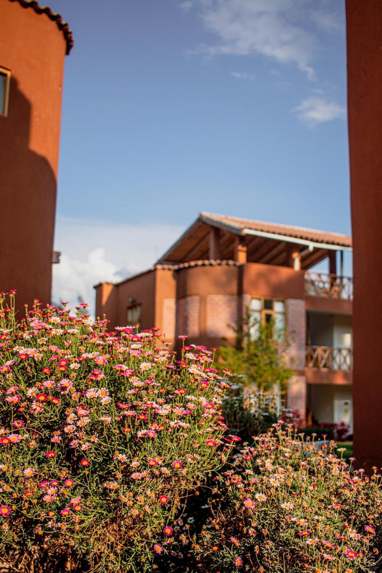 Allin Illary Eco Hospedaje Urubamba Εξωτερικό φωτογραφία